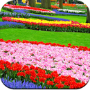 Garden Wallpaper HD APK