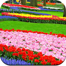 Garden Wallpaper HD-APK