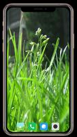 برنامه‌نما Grass Wallpaper عکس از صفحه