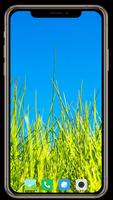 برنامه‌نما Grass Wallpaper عکس از صفحه