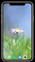 برنامه‌نما Grass Wallpaper عکس از صفحه