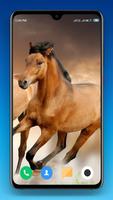 Horse Wallpapers تصوير الشاشة 1