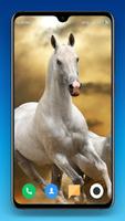 Horse Wallpapers تصوير الشاشة 3