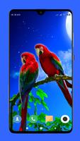 Parrot Wallpaper capture d'écran 2