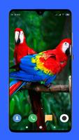 Parrot Wallpaper capture d'écran 3