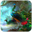 ”Peacock Wallpaper