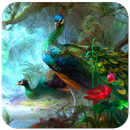 Peacock Wallpaper APK