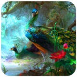 Peacock Wallpaper biểu tượng