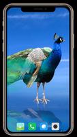 Peacock Wallpaper 스크린샷 1