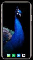 Peacock Wallpaper 스크린샷 2
