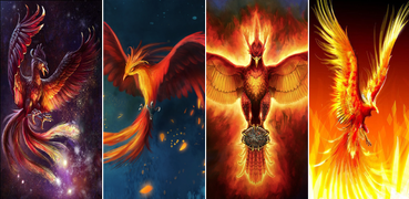 Download Phoenix Wallpaper 4k 1 04 Latest Version Apk For Android Download Phoenix Wallpaper 4k 1 04 Latest Version Apk For Android