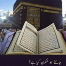 Islamic Prayer : Azan, Quran, Wallpaper (Offline) APK