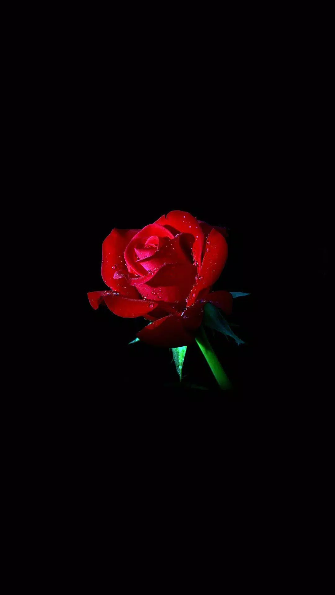 Tải xuống APK Rose Wallpaper cho Android Tải xuống APK Rose Wallpaper cho Android