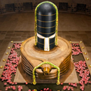 Shiv Aarti, Chalisa, Mantra, H APK