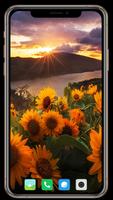 Sunrise  Wallpaper স্ক্রিনশট 3