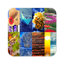 All Seasons Wallpaper APK