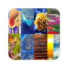 All Seasons Wallpaper أيقونة