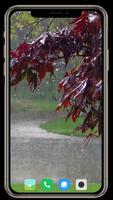 All Seasons Wallpaper تصوير الشاشة 3