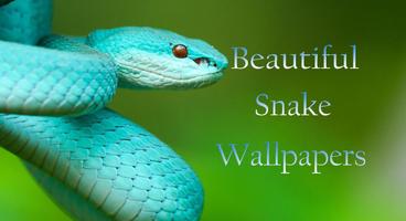 Snake Wallpaper Affiche