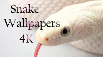 Snake Wallpaper Ekran Görüntüsü 1