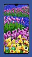 Beautiful Spring Wallpaper  4K ภาพหน้าจอ 2