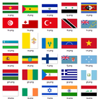 Icona Türkiye ve Dünya Bayrakları