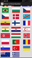 Türkiye ve Dünya Bayrakları plakat