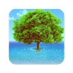 Tree Wallpaper