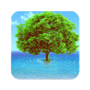 Tree Wallpaper APK