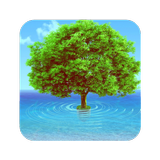 Tree Wallpaper आइकन