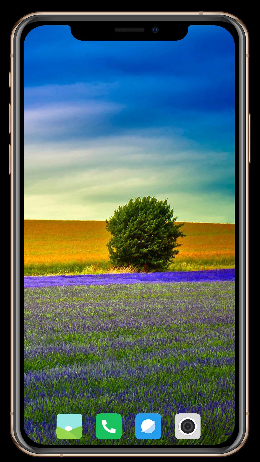 Tree Wallpaper APK for Android Download