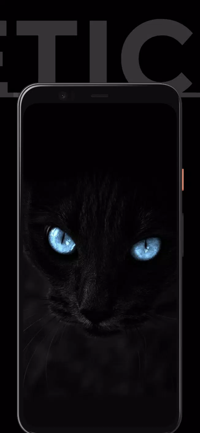 Bạn muốn sở hữu hình nền đẹp và tối giản cho điện thoại của mình? Tải ngay APK Black Aesthetic Wallpaper HD về và trải nghiệm sự thanh lịch và độc đáo mà nó mang lại cho màn hình điện thoại của bạn!