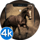🐎 Horse Wallpapers - 4K HD Ru icône
