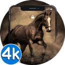 🐎 Horse Wallpapers - 4K HD Ru APK