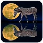 Zebra Wallpaper آئیکن