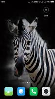 Zebra Wallpaper اسکرین شاٹ 3