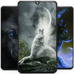 Wolf Wallpaper HD