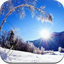 Snow Wallpapers APK