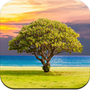 Tree Wallpaper 4K APK