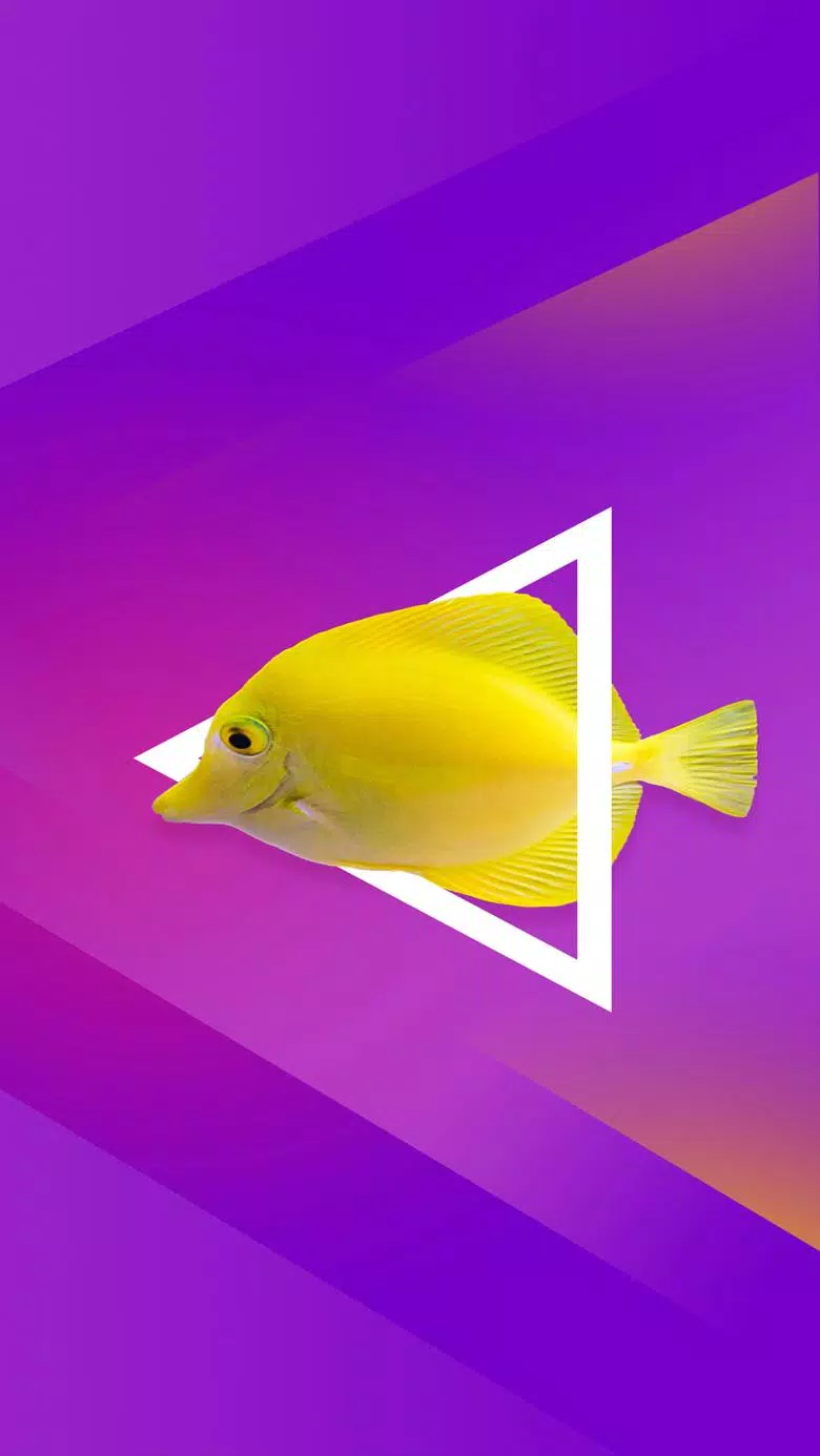 HD Realme U1 - Note 10 Wallpaper APK for Android Download HD Realme U1 - Note 10 Wallpaper APK for Android Download