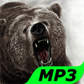 Bear Sounds