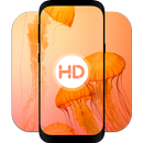 HD wallpaper & background: photo gallery for phone APK