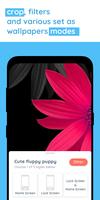 HD wallpaper & background: photo gallery for phone Screenshot 2