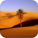 Desert Wallpaper HD APK