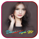 Top Koplo 2019 APK