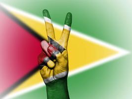 برنامه‌نما Guyana Flag عکس از صفحه
