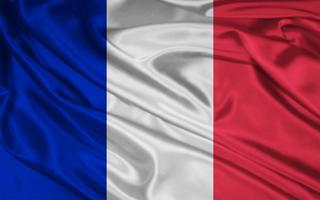 France Flag captura de pantalla 3