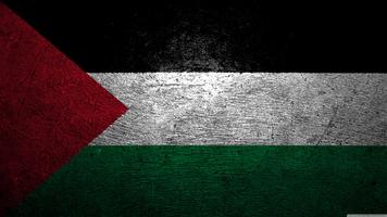 Palestine Flag capture d'écran 3