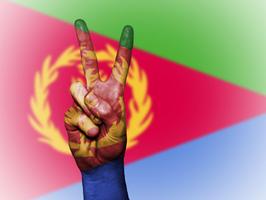 Eritrea Flag Ekran Görüntüsü 3