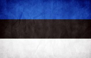 برنامه‌نما Estonia Flag عکس از صفحه